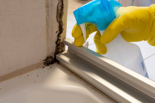 Best Mold Testing and Inspection Services in Orida Ridge, FL